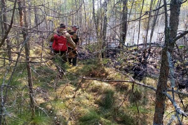 В Новодугинском районе идет ликвидация лесного пожара
