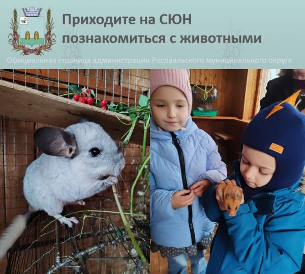 Живое пространство станции юных натуралистов в Рославле