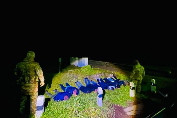 Смоленские пограничники задержали компанию нелегалов, пытавшихся пересечь границу