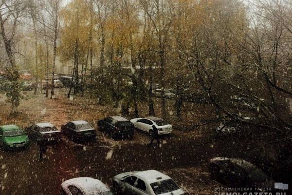 20 ноября в Смоленской области температура воздуха ночью местами опустится до -15°C