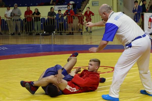 В Смоленске благодаря поддержке «Единой России» состоялся межрегиональный турнир по самбо