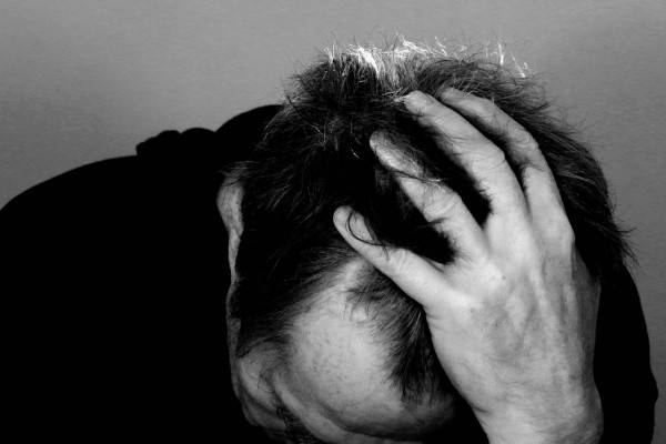 Незаконная охота в Смоленской области: водитель задержан с тушей лося