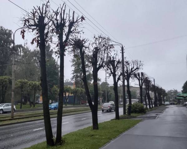 Смоленск борется с вандалами