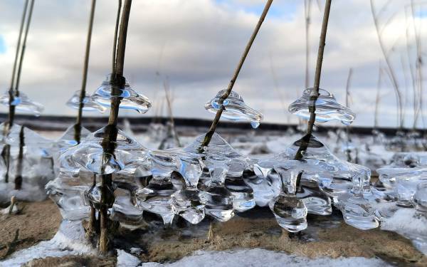 Финалисты программы 