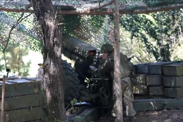 Расчёты гаубиц Д-30 поражают замаскированные позиции и диверсионные группы ВСУ