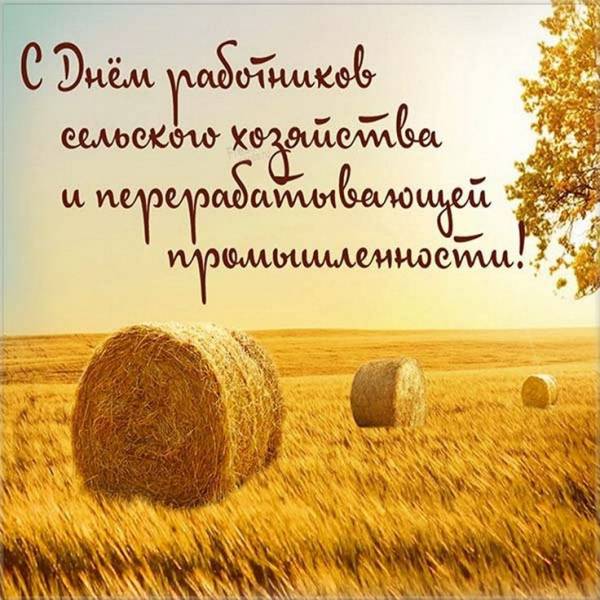 С Днём работника сельского хозяйства, труженики Рославльского района! С Днём работника сельского хозяйства, труженики Рославльского района!