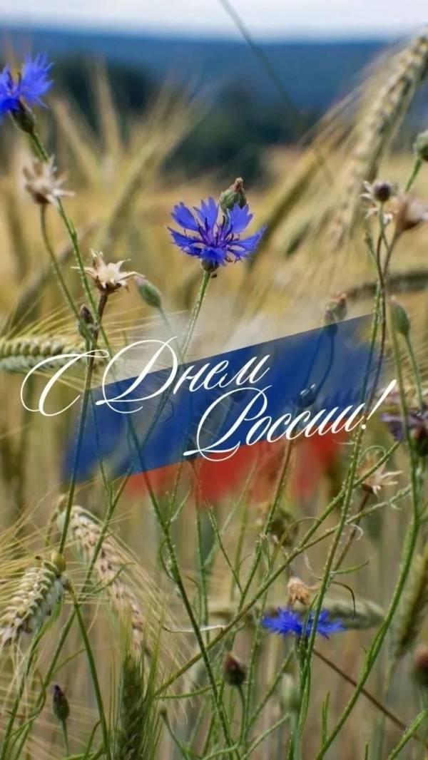 Дорогие рославльчане!