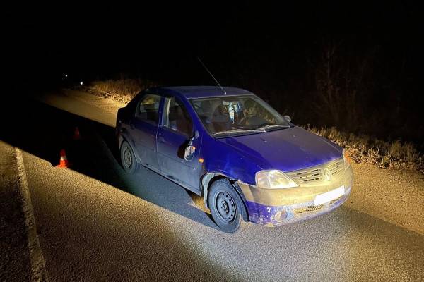 В Починковском районе Renault наехал на несовершеннолетнюю