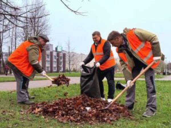 Осенний субботник в Десногорске: единство действий ради чистого города