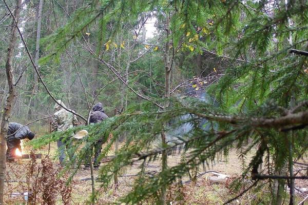 В Смоленской области задержаны воры, пытавшиеся украсть железнодорожные рельсы В Смоленской области задержаны воры, пытавшиеся украсть железнодорожные рельсы