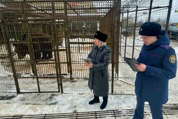 В Смоленской области мужчина умер в результате нападения медведя