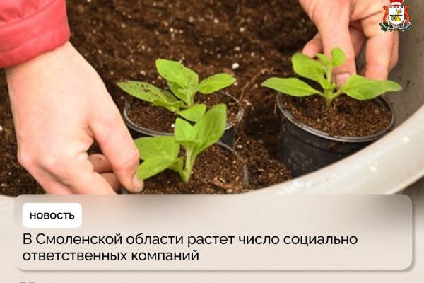 Объяснение ЭКГ-рейтингов компаний в Смоленской области