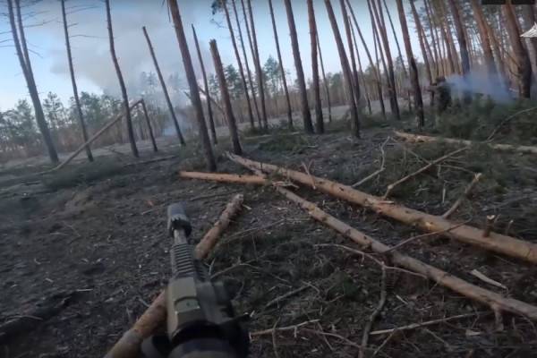 Подразделения Воздушно-десантных войск уничтожили опорный пункт противника в зоне СВО